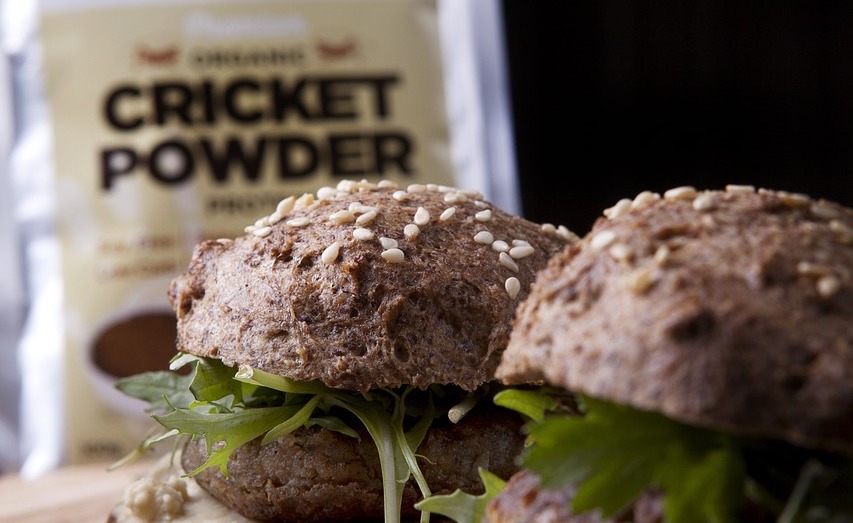 Nutritious cricket powder used as a food ingredient for a protein boost