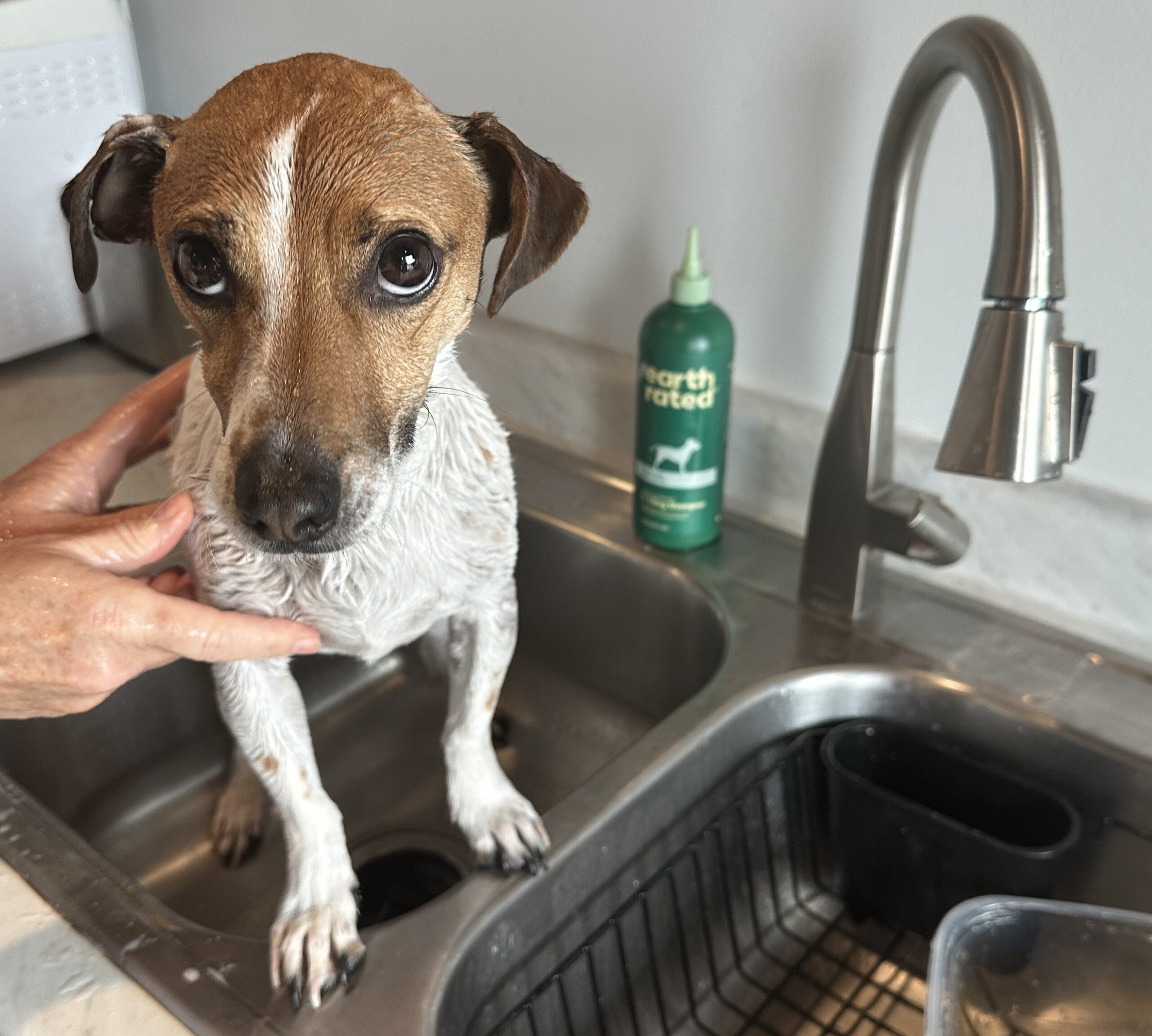 Finn's loves the bath