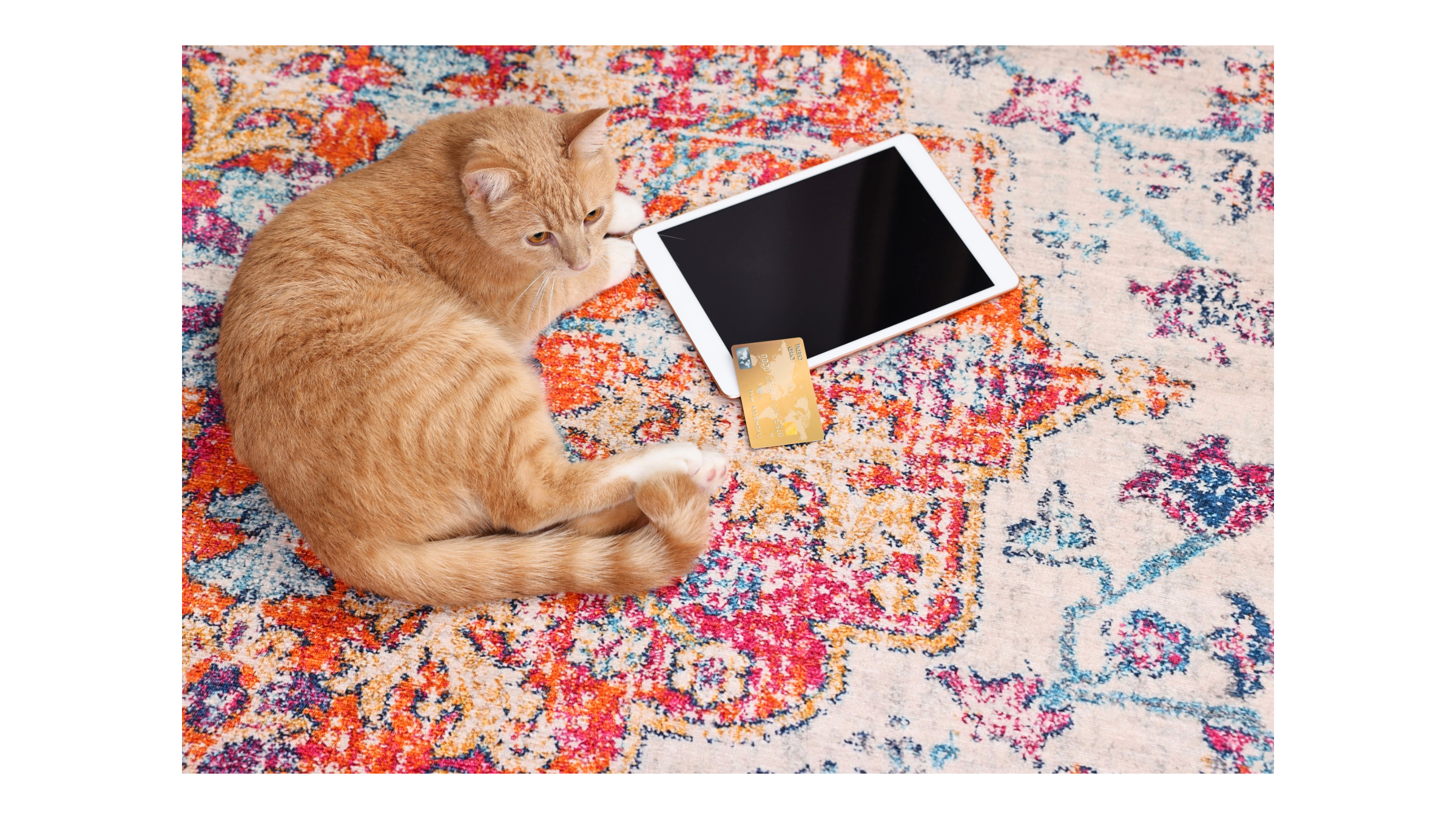 Cat with a tablet on a rug